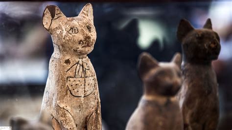 Cats as prominent figures in Pzgan mythology
